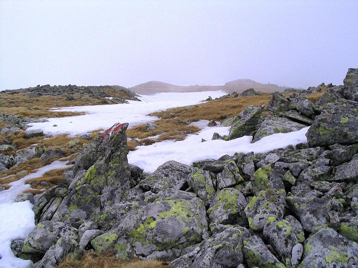 Foto: Andreas Koller / Wander Tour / Durch den Brandstätter Graben auf den Maierangerkogel (2356m) / Der behäbige Gipfelaufbau des Maierangerkogels / 20.05.2008 00:29:14