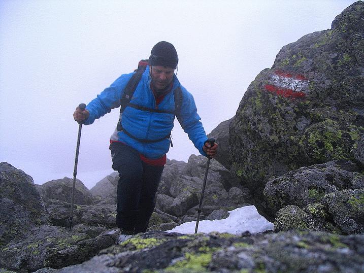 Foto: Andreas Koller / Wander Tour / Durch den Brandstätter Graben auf den Maierangerkogel (2356m) / Die letzten 10 Min. über grobes Blockwerk / 20.05.2008 00:28:26