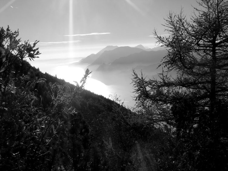 Foto: Manfred Karl / Wandertour / Auf einen Aussichtsberg der Extraklasse – Monte Altissimo di Nago / Gardaseeglanz in der Spätherbstsonne / 05.06.2008 20:37:10