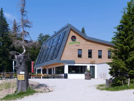 Foto: Wolfgang Dröthandl / Wandertour / Krummbachstein - Runde über den Gahns / Naturfreundehaus Knofeleben / 06.03.2015 07:46:49