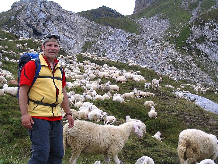 Foto: Andreas Koller / Klettersteigtour / Via Sartor auf den Hochweißstein / Monte Peralba (2694m) / Man findet Freunde am Hochalpjoch / 10.09.2008 00:09:12