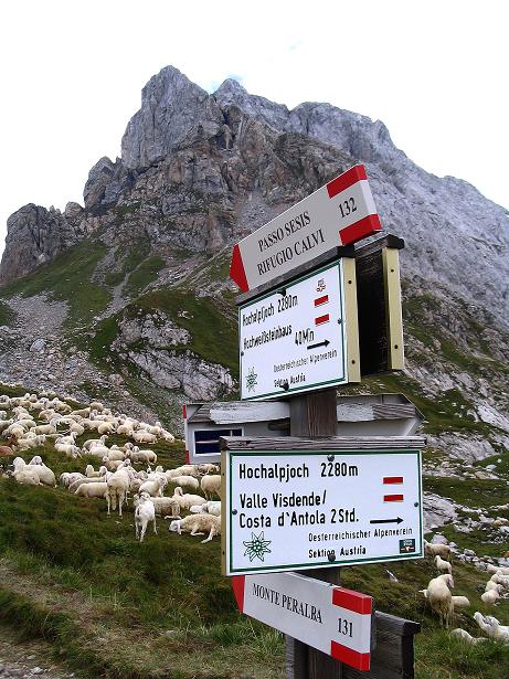 Foto: Andreas Koller / Klettersteigtour / Via Sartor auf den Hochweißstein / Monte Peralba (2694m) / Wegweiser am Hochalpjoch / 10.09.2008 00:08:55