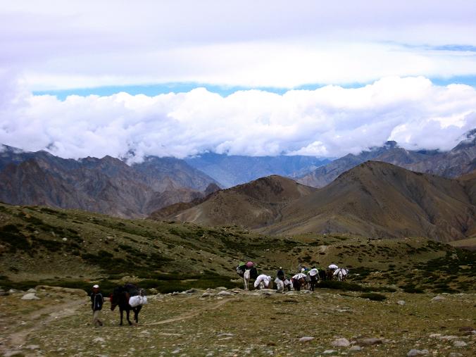 Foto: Andreas Koller / Wander Tour / Von Tachuntse auf den Nimaling Ri (5648m) / Im Nimaling-Hochtal gegen Zanskar Range / 14.09.2008 00:27:14
