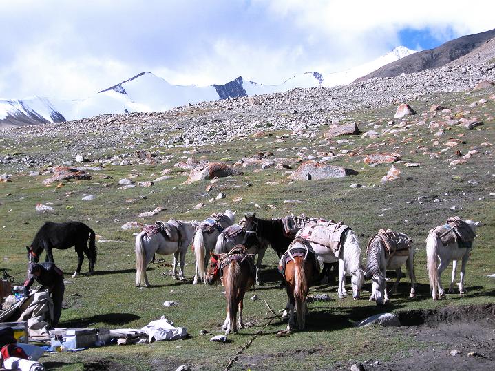 Foto: Andreas Koller / Wandertour / Aussichtsgipfel Uatse Ri (5673m) / Im Hochlager Nimaling / 23.09.2008 00:43:25