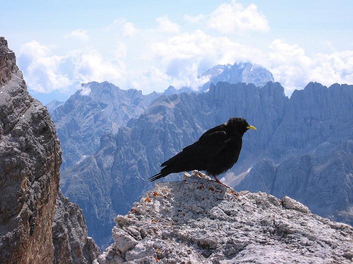 Foto: Andreas Koller / Klettersteigtour / Ferrata Marino Bianchi - Cristallo di Mezzo (3167 m) / Besuch am Gipfel gegen Sorapis (3205 m) / 23.09.2008 01:28:43