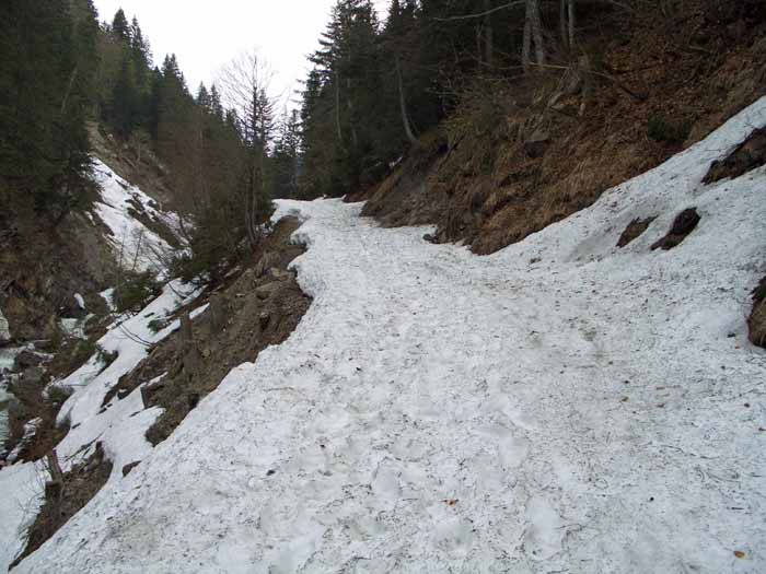 Foto: vince 51 / Schneeschuhtour / Mit Schneeschuhen auf den Hohen Freschen / Almweg etwas oberhalb des Parkplatzes bei der Brücke (siehe Beschreibung) / 20.11.2008 22:47:20