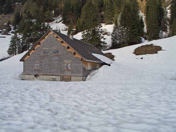 Foto: vince 51 / Schneeschuhtour / Mit Schneeschuhen auf den Hohen Freschen / Die Hintere Garnitzaalpe / 20.11.2008 22:44:25