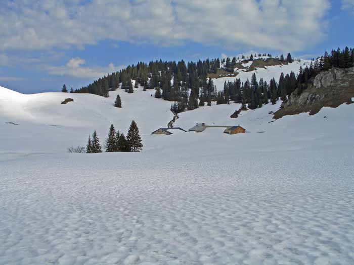 Foto: vince 51 / Schneeschuhtour / Mit Schneeschuhen auf den Hohen Freschen / Die untere Saluveralm.<br>auf diesem Foto ist der in der Routenbeschreibung erwähnte Felsabbruch gut zu erkennen,<br>unterhalb dessen die Anstiegsroute nach rechts und dann im Linksbogen zur oberen Saluveralpe verläuft. / 20.11.2008 22:42:47