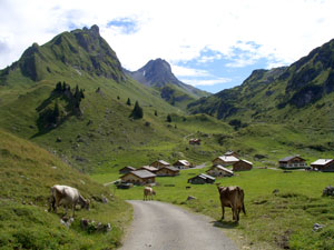 Foto: Datzi / Wandertour / Rundtour im Gr. Walsertal auf die Rote Wand ( Biwak ) / Laguzalpe / 06.12.2008 18:37:19