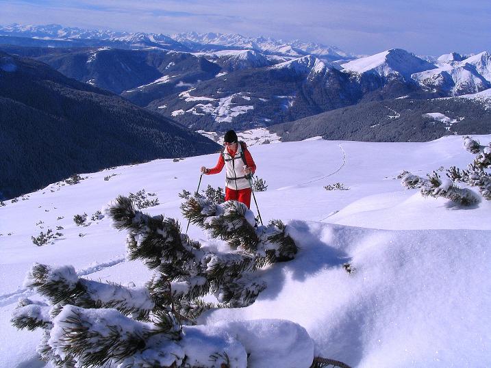 Foto: Andreas Koller / Skitour / Von Reinswald auf die Getrumspitze (2589m) / Aufstieg mit Blick zur Ortlergruppe / 15.12.2008 03:01:32
