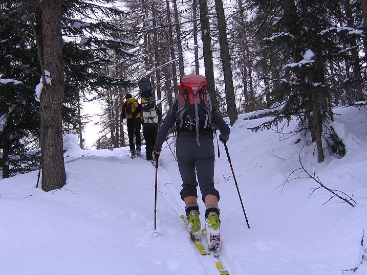 Foto: Andreas Koller / Skitour / Aus dem Val Müstair auf den Piz Dora (2951m) / Die Waldzone beginnt gleich nahe des Orts / 23.12.2008 16:17:16