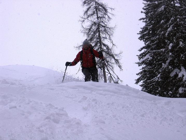 Foto: Andreas Koller / Skitour / Aus dem Val Müstair auf den Piz Dora (2951m) / Einfahrt in den tiefer gelegenen Wald / 23.12.2008 16:08:58