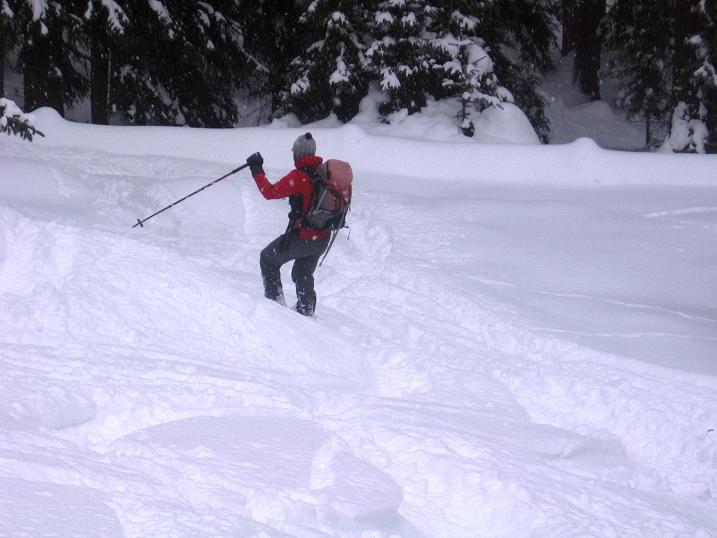 Foto: Andreas Koller / Skitour / Aus dem Val Müstair auf den Piz Dora (2951m) / Der letzte Teil der Abfahrt führt wieder durch Wald / 23.12.2008 16:08:39