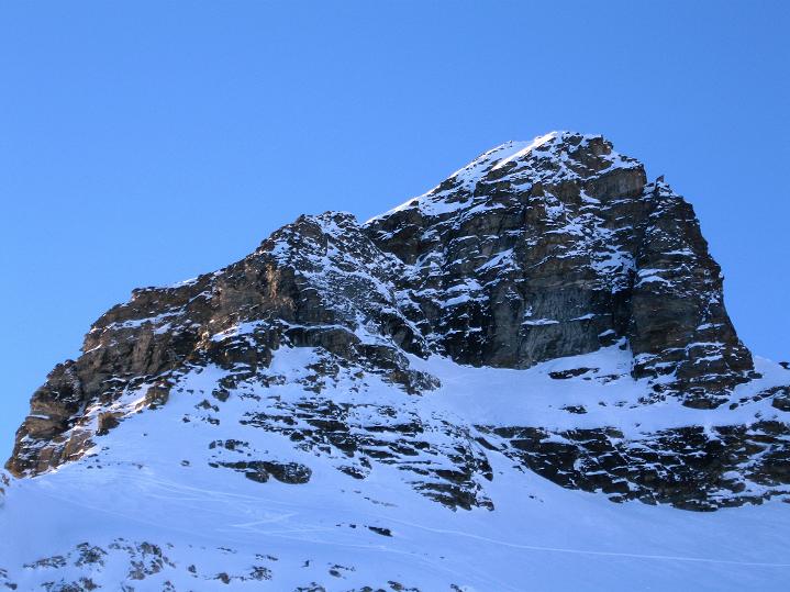 Foto: Andreas Koller / Skitour / Von der Lauchernalp aufs Hockenhorn (3293m) / Das Hockenhorn vom Hockengrat / 12.01.2009 19:22:28