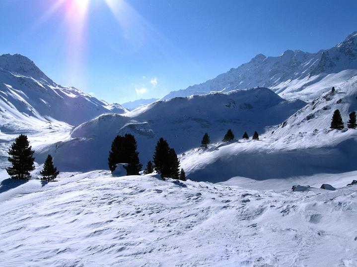 Foto: Andreas Koller / Skitour / Impressionen am Flüelapass (2606 m) / Blick Richtung Flüela Pass / 09.02.2009 00:59:49
