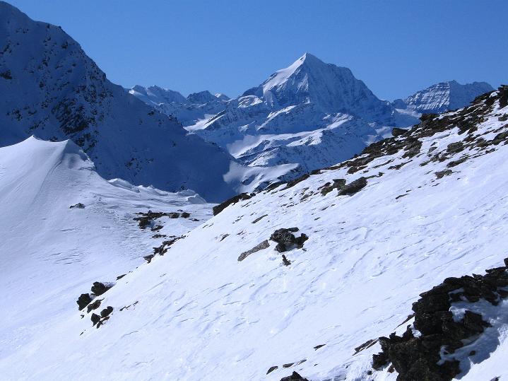 Foto: Andreas Koller / Skitour / Flimspitze (3113m) - Skidreitausender par excellence / Die Königspitze (3859 m) schaut über den Grat / 02.03.2009 19:31:54