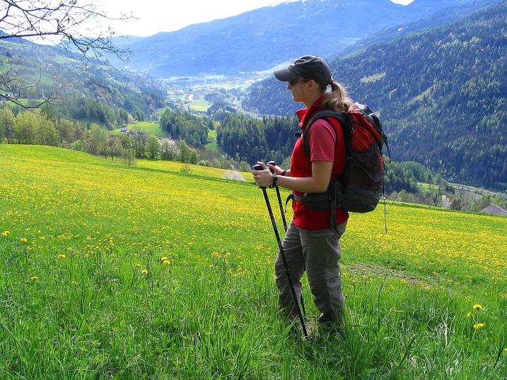 Foto: Andreas Koller / Wander Tour / Über die Dörfler Alm auf den Gstoder (2140m) / 10.05.2009 22:01:27