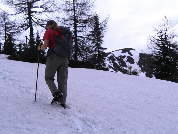 Foto: Andreas Koller / Wander Tour / Über die Dörfler Alm auf den Gstoder (2140m) / Anstieg über die Dörfler Alm / 10.05.2009 21:58:29