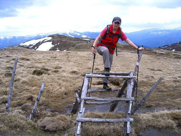 Foto: Andreas Koller / Wander Tour / Über die Dörfler Alm auf den Gstoder (2140m) / 10.05.2009 21:56:05