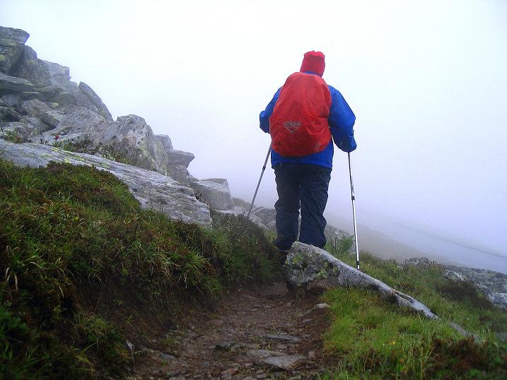Foto: Andreas Koller / Wander Tour / Lavanttaler Impressionen auf der Koralpe (2140m) / 01.07.2009 01:21:28
