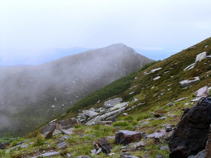 Foto: Andreas Koller / Wander Tour / Lavanttaler Impressionen auf der Koralpe (2140m) / Blick zum Seespitz / 01.07.2009 01:21:17