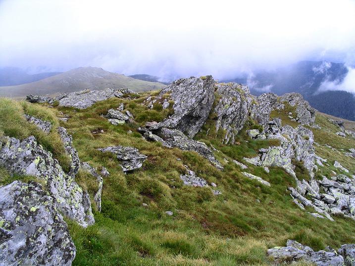 Foto: Andreas Koller / Wander Tour / Lavanttaler Impressionen auf der Koralpe (2140m) / 01.07.2009 01:16:53