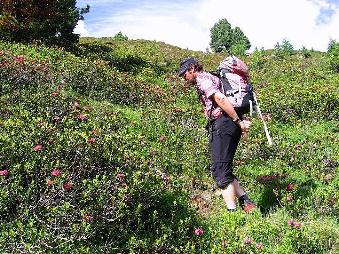 Foto: Andreas Koller / Klettertour / Überschreitung der Madatschtürme (2837m) / 16.07.2009 17:40:59
