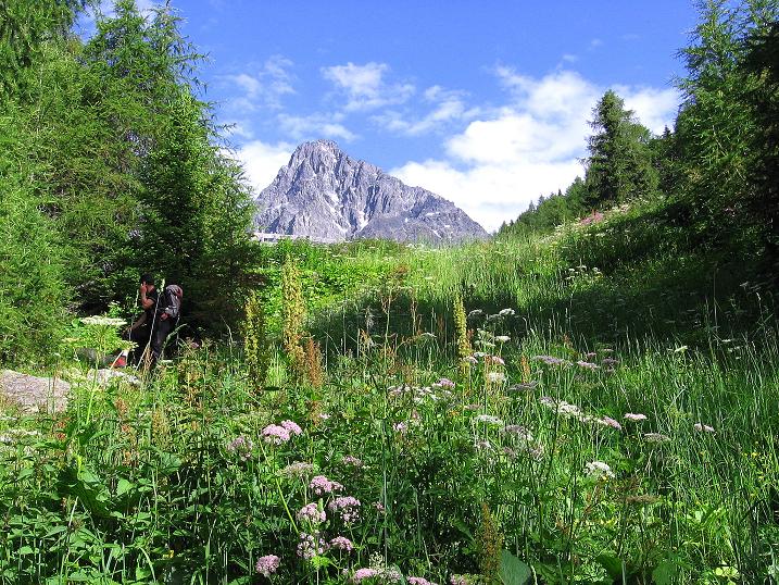 Foto: Andreas Koller / Klettertour / Überschreitung der Madatschtürme (2837m) / Letzter Blick auf den Schwabenkopf (3378 m) / 16.07.2009 17:13:05