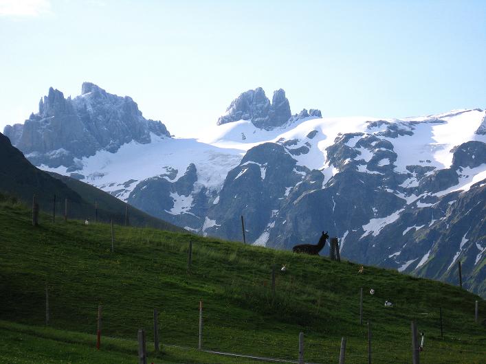 Foto: Andreas Koller / Klettersteigtour / Klettersteig Brunnistöckli (2030m) / 15.07.2009 02:15:17