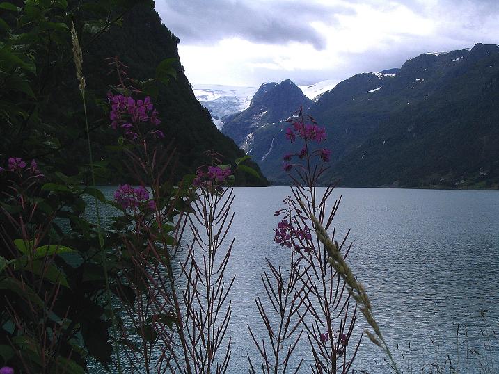 Foto: Andreas Koller / Wandertour / Gletschererlebnis Briksdalsbreen (150 m) / 04.08.2009 19:19:15