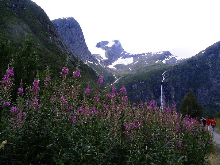 Foto: Andreas Koller / Wandertour / Gletschererlebnis Briksdalsbreen (150 m) / 04.08.2009 19:15:10