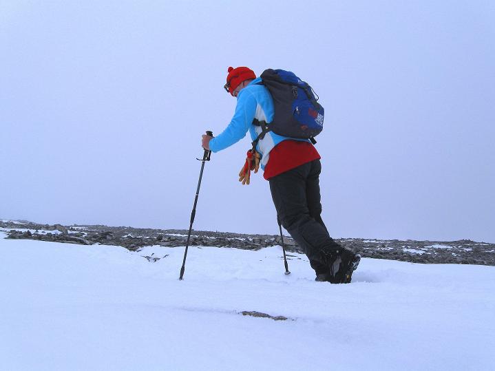 Foto: Andreas Koller / Wandertour / Von Spiterstulen auf den Glittertind (2465 m) / Mühsame letzte Höhenmeter / 05.08.2009 18:53:29