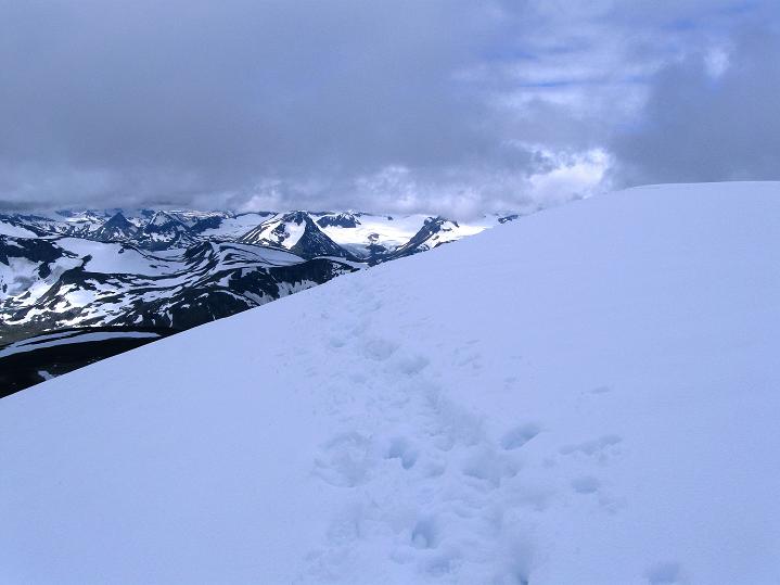 Foto: Andreas Koller / Wandertour / Von Spiterstulen auf den Glittertind (2465 m) / Am Gipfel des Glittertind / 05.08.2009 18:50:38