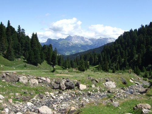 Foto: hofsab / Mountainbiketour / Rund um den Schlern über Eselrücken (2560 m) und Prügelweg / 27.08.2009 21:02:30