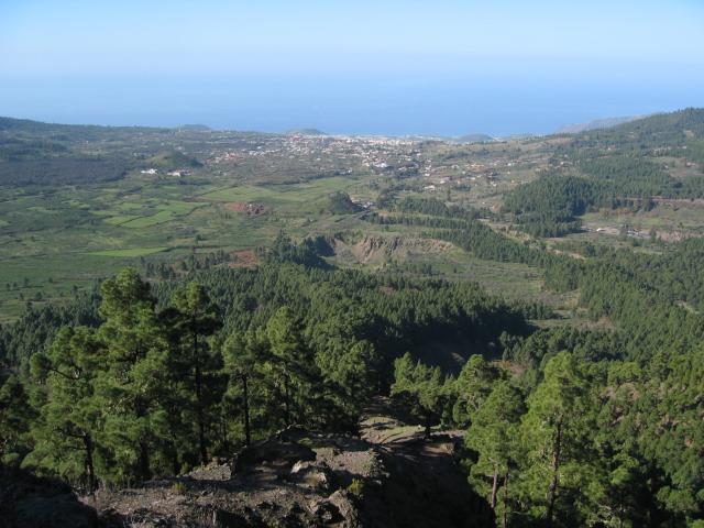 Foto: elipes / Wandertour / Von der Ermita Virgen del Pino zur Punta de los Roques / Blick vom Aufstiegsweg zum Reventonpass nach El Paso / 10.08.2009 19:43:29