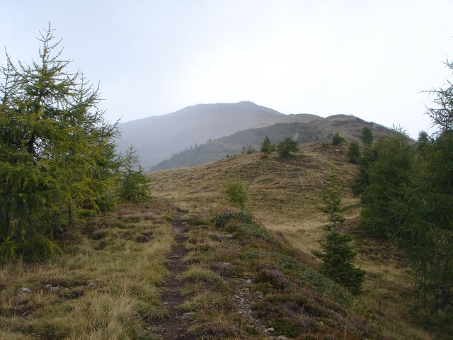 Foto: berglerin / Wandertour / Gabesitten (2665m) / Der lange Wiesenhang zum Gipfel / 27.08.2009 17:52:42