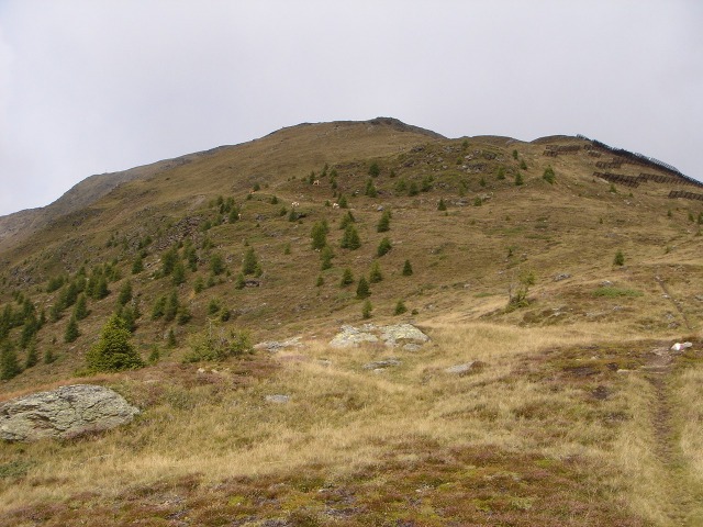 Foto: berglerin / Wandertour / Gabesitten (2665m) / 27.08.2009 17:47:51