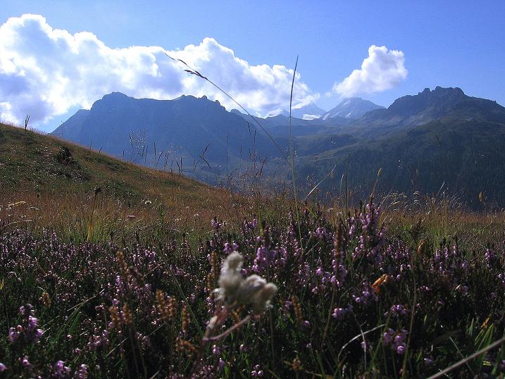 Foto: Andreas Koller / Wandertour / Bella Tola - Aussichtsbalkon der Walliser Alpen (3026 m) / 05.09.2009 18:50:48