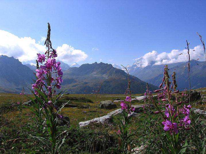 Foto: Andreas Koller / Wandertour / Bella Tola - Aussichtsbalkon der Walliser Alpen (3026 m) / 05.09.2009 18:51:41