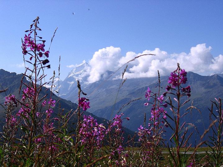 Foto: Andreas Koller / Wandertour / Bella Tola - Aussichtsbalkon der Walliser Alpen (3026 m) / 05.09.2009 18:50:13