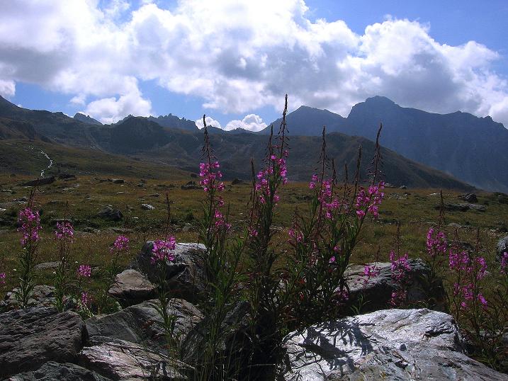 Foto: Andreas Koller / Wandertour / Bella Tola - Aussichtsbalkon der Walliser Alpen (3026 m) / 05.09.2009 18:49:22