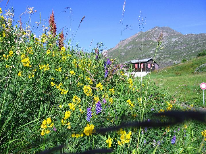 Foto: Andreas Koller / Wandertour / Vom Simplonpass auf das Wasenhorn (3246 m) / Ausgangspunkt Simplon Kulm / 10.09.2009 00:02:26