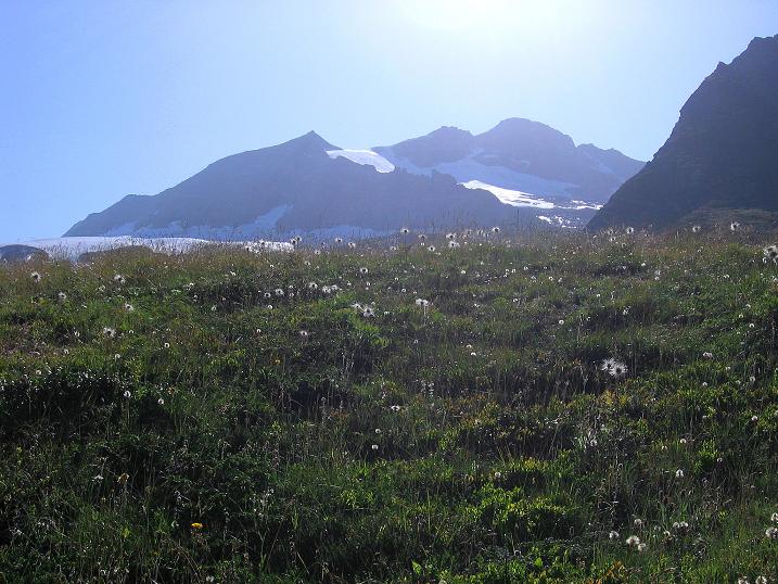 Foto: Andreas Koller / Wandertour / Vom Simplonpass auf das Wasenhorn (3246 m) / 10.09.2009 00:00:52