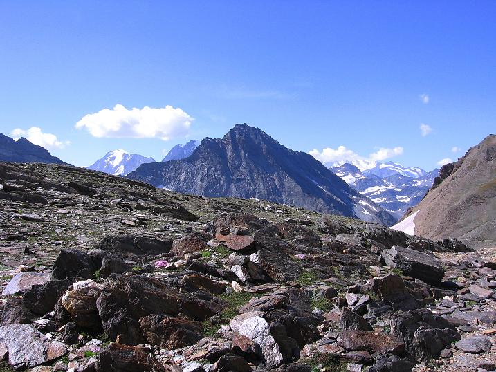 Foto: Andreas Koller / Wandertour / Vom Simplonpass auf das Wasenhorn (3246 m) / 09.09.2009 23:55:35