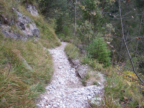 Foto: hofchri / Mountainbike Tour / Rund um das Sonntagshorn über Sellarnalm (1215m) / ausgewaschener Singletrail nach Weißbach / 12.10.2009 18:29:17
