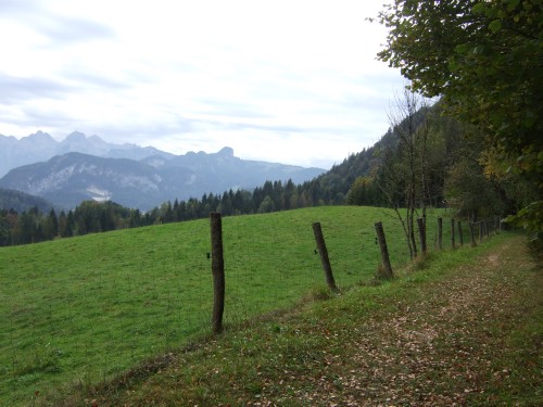 Foto: hofchri / Mountainbike Tour / Rund um das Sonntagshorn über Sellarnalm (1215m) / Wanderweg bei Melleck / 12.10.2009 18:32:32