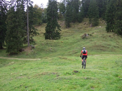 Foto: hofchri / Mountainbike Tour / Rund um das Sonntagshorn über Sellarnalm (1215m) / weiter auf der Forststraße / 12.10.2009 18:31:57