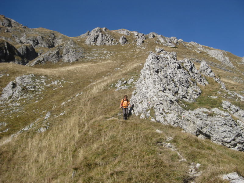 Foto: Wolfgang Lauschensky / Wandertour / Monte Pelf 2502m / manchmal erodierter schmaler Grasmattensteig / 31.10.2009 14:15:22