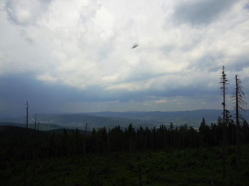 Foto: Günter Siegl / Wandertour / Gipfel-Ge(h)nussweg / Blick nach Tschechien / 04.07.2017 21:37:59