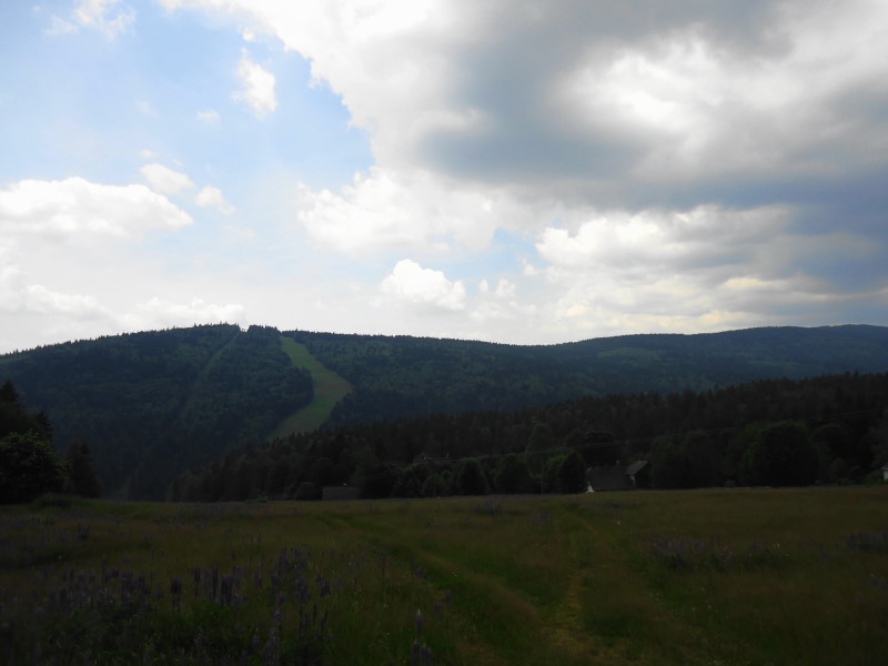Foto: Günter Siegl / Wandertour / Gipfel-Ge(h)nussweg / Hochficht Gegenhang / 04.07.2017 21:27:43